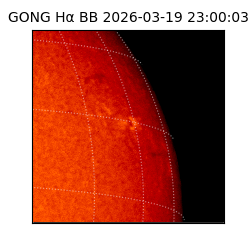gong - 2026-03-19T23:00:03