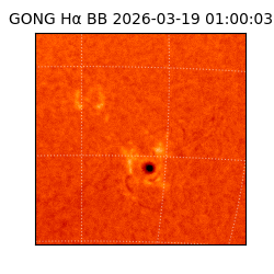 gong - 2026-03-19T01:00:03