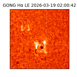 gong - 2026-03-19T02:00:42