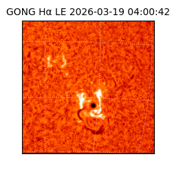 gong - 2026-03-19T04:00:42