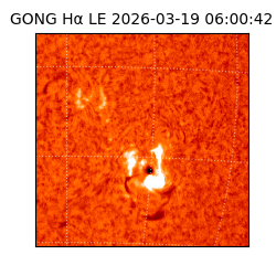 gong - 2026-03-19T06:00:42