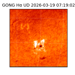 gong - 2026-03-19T07:19:02