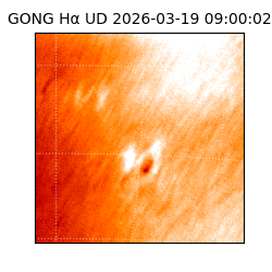 gong - 2026-03-19T09:00:02