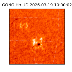 gong - 2026-03-19T10:00:02