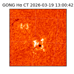 gong - 2026-03-19T13:00:42