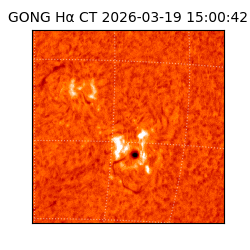 gong - 2026-03-19T15:00:42