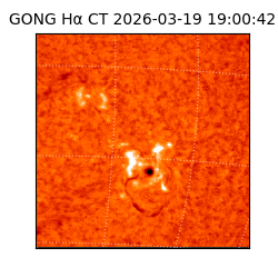 gong - 2026-03-19T19:00:42