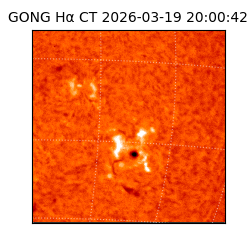 gong - 2026-03-19T20:00:42