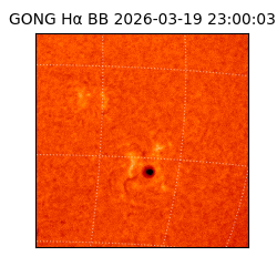 gong - 2026-03-19T23:00:03