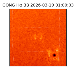 gong - 2026-03-19T01:00:03
