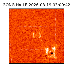 gong - 2026-03-19T03:00:42