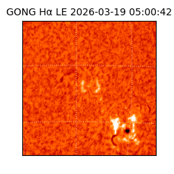 gong - 2026-03-19T05:00:42