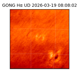 gong - 2026-03-19T08:08:02
