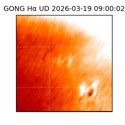gong - 2026-03-19T09:00:02