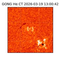 gong - 2026-03-19T13:00:42