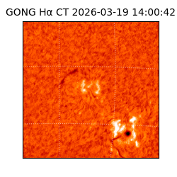 gong - 2026-03-19T14:00:42