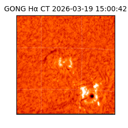 gong - 2026-03-19T15:00:42