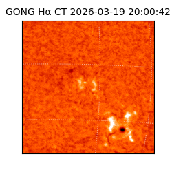 gong - 2026-03-19T20:00:42