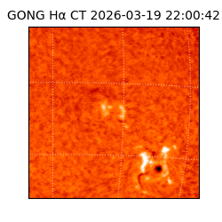 gong - 2026-03-19T22:00:42