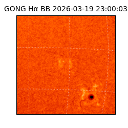 gong - 2026-03-19T23:00:03