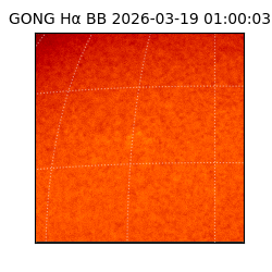 gong - 2026-03-19T01:00:03