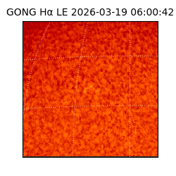 gong - 2026-03-19T06:00:42