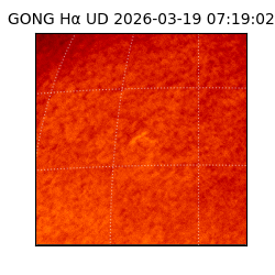 gong - 2026-03-19T07:19:02