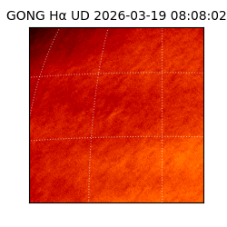 gong - 2026-03-19T08:08:02