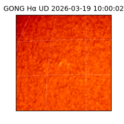 gong - 2026-03-19T10:00:02