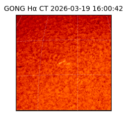 gong - 2026-03-19T16:00:42
