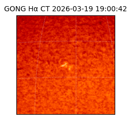 gong - 2026-03-19T19:00:42