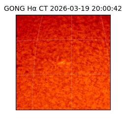 gong - 2026-03-19T20:00:42
