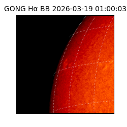 gong - 2026-03-19T01:00:03