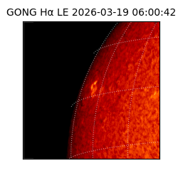 gong - 2026-03-19T06:00:42