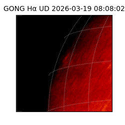 gong - 2026-03-19T08:08:02