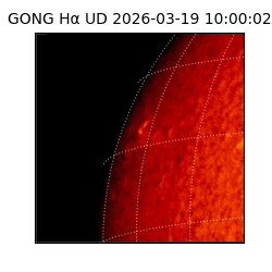 gong - 2026-03-19T10:00:02
