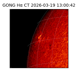gong - 2026-03-19T13:00:42
