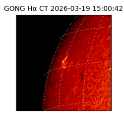 gong - 2026-03-19T15:00:42
