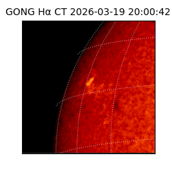 gong - 2026-03-19T20:00:42