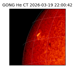 gong - 2026-03-19T22:00:42