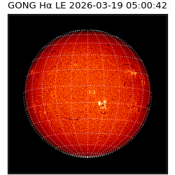 gong - 2026-03-19T05:00:42