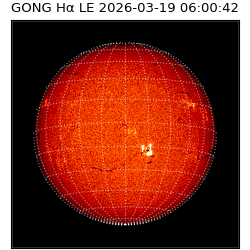 gong - 2026-03-19T06:00:42
