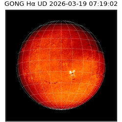 gong - 2026-03-19T07:19:02