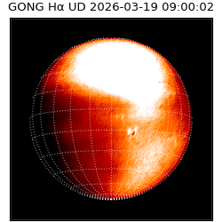 gong - 2026-03-19T09:00:02