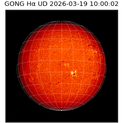 gong - 2026-03-19T10:00:02