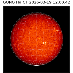 gong - 2026-03-19T12:00:42