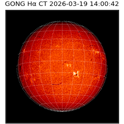gong - 2026-03-19T14:00:42