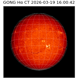 gong - 2026-03-19T16:00:42