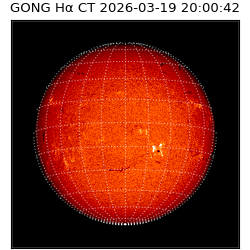 gong - 2026-03-19T20:00:42