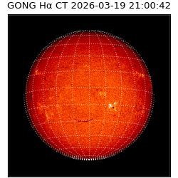 gong - 2026-03-19T21:00:42